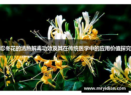 忍冬花的清热解毒功效及其在传统医学中的应用价值探究