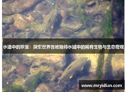 水道中的珍宝：探索世界各地独特水域中的稀有生物与生态奇观
